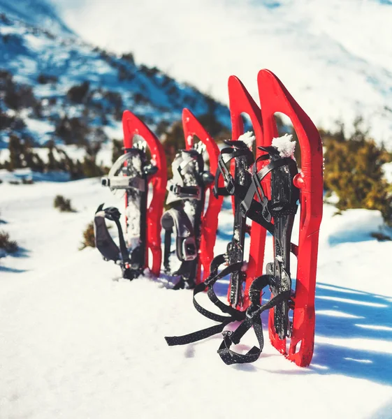 Sapatilhas de neve para rastreamento no inverno . — Fotografia de Stock