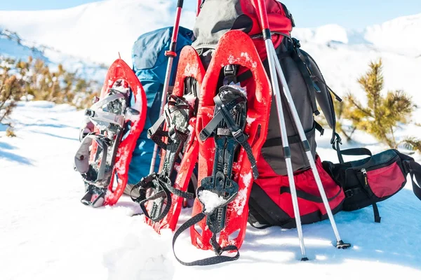 Sırt çantası, kar ayakkabıları ve trekking direkleri. — Stok fotoğraf