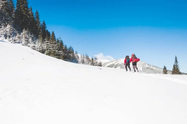 Два альпиниста в горах . — стоковое фото