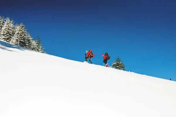 Deux alpinistes sont dans les montagnes . — Photo