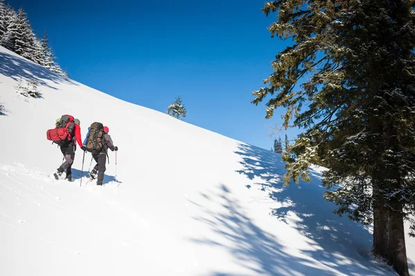 Dos escaladores están en las montañas . — Foto de Stock