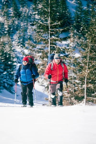 Deux alpinistes sont dans les montagnes . — Photo