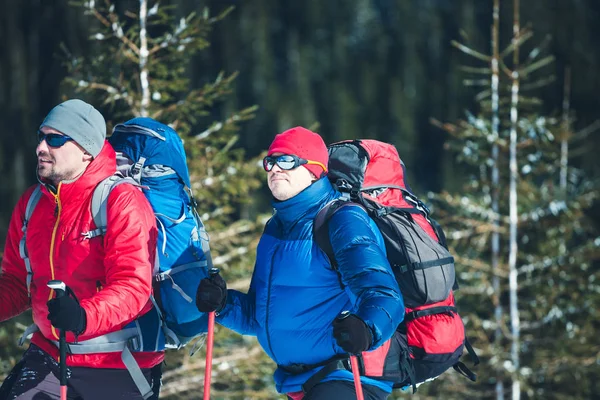 Zwei Bergsteiger sind in den Bergen. — Stockfoto