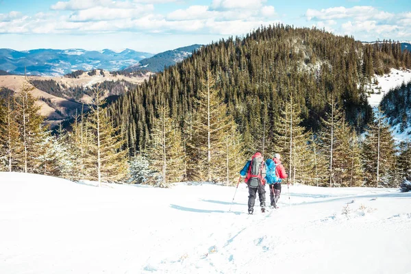 Dois alpinistas estão nas montanhas . — Fotografia de Stock