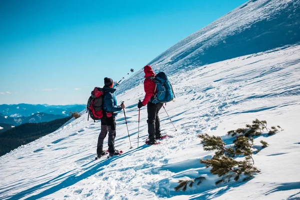 Two friends in the mountains. — Stock Photo, Image