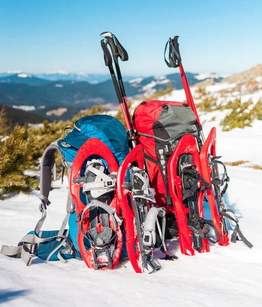 Sırt çantası, kar ayakkabıları ve trekking direkleri. — Stok fotoğraf