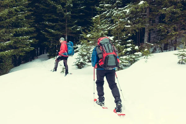 Dois alpinistas estão nas montanhas . — Fotografia de Stock