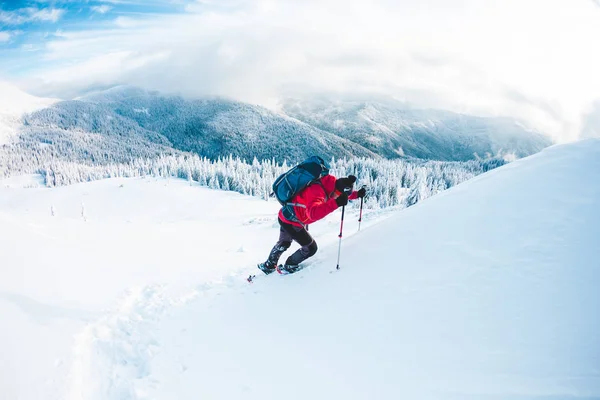 Un homme en raquettes dans les montagnes . — Photo