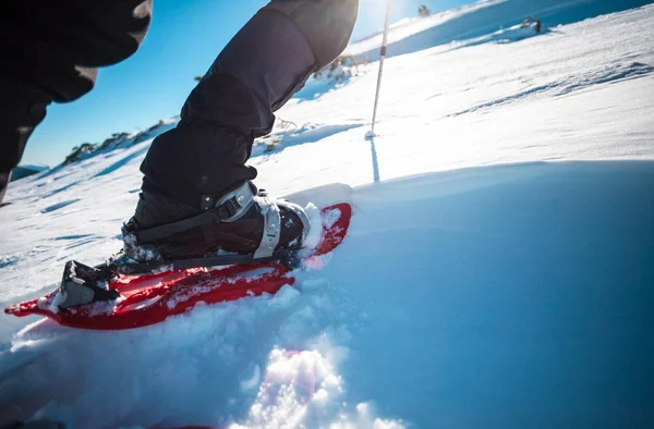 Hombre en raquetas de nieve . — Foto de Stock