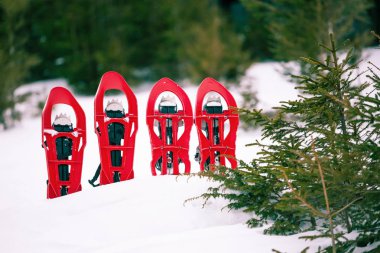Kar ayakkabılarını kışın takibi için.