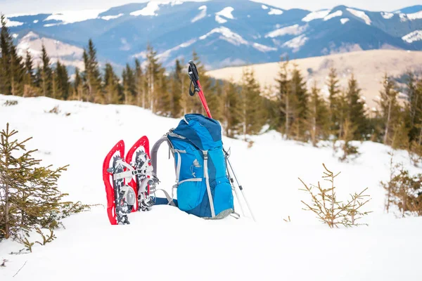 Sırt çantası, kar ayakkabıları ve trekking direkleri. — Stok fotoğraf