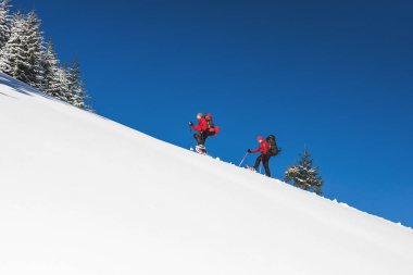 İki dağcı dağda vardır.