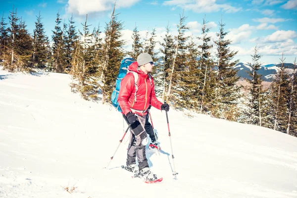 Dois alpinistas estão nas montanhas . — Fotografia de Stock