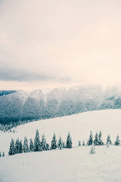 Zimowy krajobraz w górach. — Zdjęcie stockowe