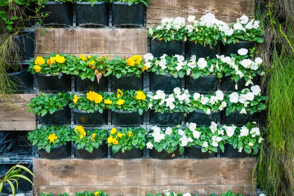 Mur avec pots de fleurs . — Photo