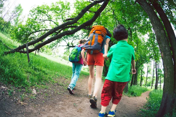 Çocuklu Bir Kadınla Hiking Gider Kadın Kollarından Oğulları Aldı Aile — Stok fotoğraf