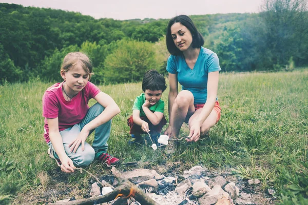 Aile Pikniği Çocuk Anneleri Ile Şiş Üzerinde Marshmallows Fry Doğada — Stok fotoğraf