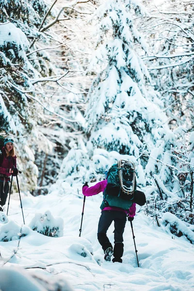 겨울 하이킹을 하는 두 명의 여성. — 스톡 사진