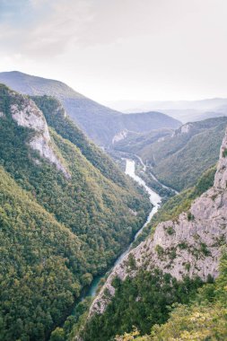 Pitoresk Kanyon altındaki nehir.