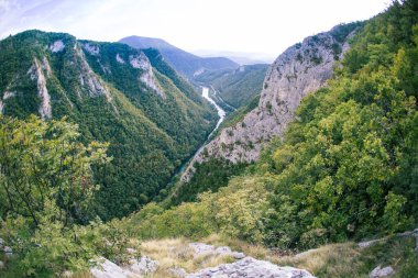 Pitoresk Kanyon altındaki nehir.