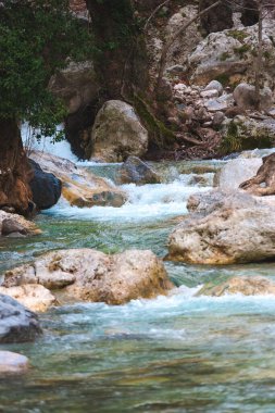 Şelale ve dağ nehir.
