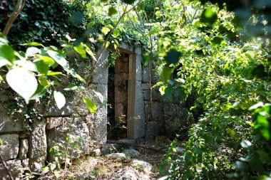 Ruins overgrown with plants.