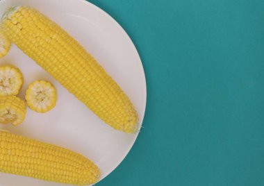 Turkuaz bir arka planda Mısır ile bir plaka.