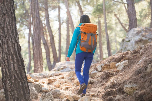 소녀가 걷습니다 산에서 하이킹도 여성이 공원을 있습니다 활동적 속에서 캠핑을 — 스톡 사진