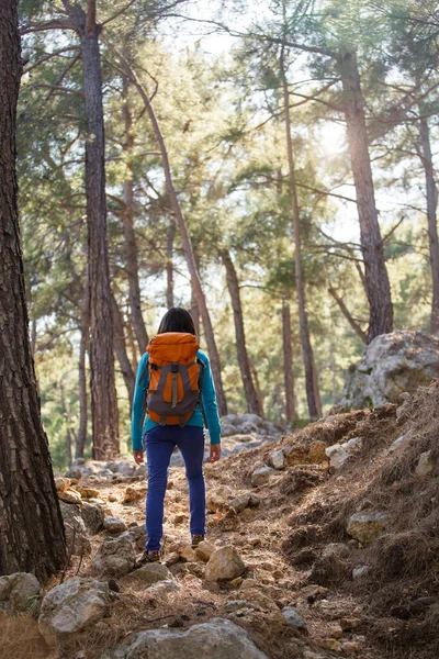 Girl Walks Woods Hiking Mountains Woman Walking Park Active Lifestyle — Stock Photo, Image