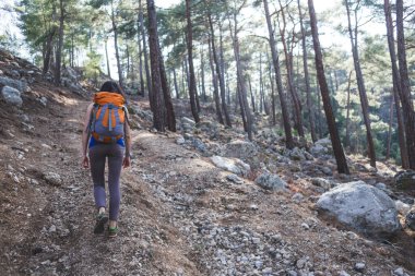 Sırt çantalı bir kız dağ yolunda gidiyor. Bir kadın resimli yerlerde tek başına seyahat eder. Bir kadın ormanda tek başına yürüyor..