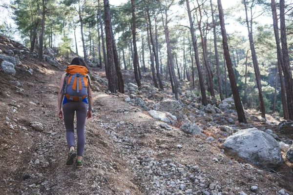 Flicka Med Ryggsäck Går Längs Bergsstig Kvinna Reser Ensam Pittoreska — Stockfoto