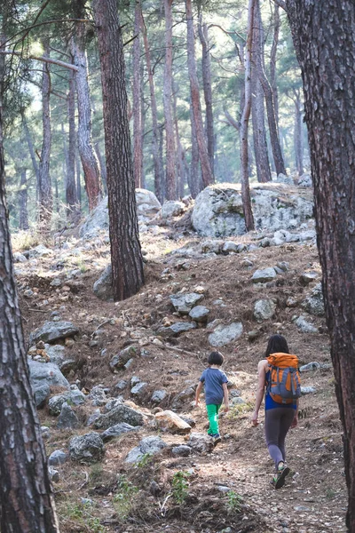 一个女人和她的儿子走过森林 那个男孩和他的母亲去爬山了 一个背着背包的孩子在公园里 和孩子们一起旅行这孩子牵着妈妈的手 山区小径 — 图库照片