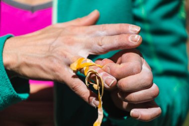 Kaya tırmanışçısı parmaklarını yara bandıyla bandajlar, el koruması, sarı koruma bandı, tırmanma rotasını aşmaya hazırlanan kadın eli, yakın çekim..