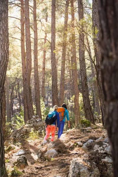 Δύο Κορίτσια Σακίδια Περπατούν Στο Δάσος Πεζοπορία Στα Βουνά Φίλες — Φωτογραφία Αρχείου
