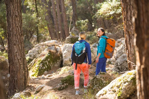 Δύο Κορίτσια Περπατούν Στο Δάσος Πεζοπορία Στα Βουνά Φίλες Περνάνε — Φωτογραφία Αρχείου