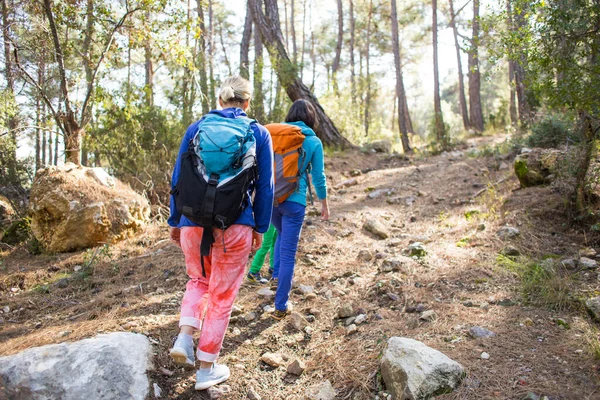 Dwie Dziewczyny Chodzą Lesie Wędrówki Górach Dziewczyny Spędzają Razem Czas — Zdjęcie stockowe