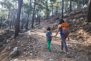 Bir kadın oğluyla birlikte ormanda yürüyor. Annesiyle yürüyüşe çıkan çocuk. Sırt çantalı bir çocuk parkta. Çocuklarla seyahat et. Çocuk annesinin elini tutuyor..