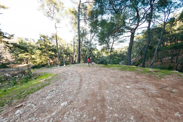 Une Femme Court Long Sentier Montagne Coureur Entraîne Dans Forêt — Photo