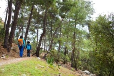 Bir kadın oğluyla birlikte ormanda yürüyor. Annesiyle yürüyüşe çıkan çocuk. Sırt çantalı bir çocuk parkta. Çocuklarla seyahat et. Çocuk annesinin elini tutuyor. Dağ yolu.