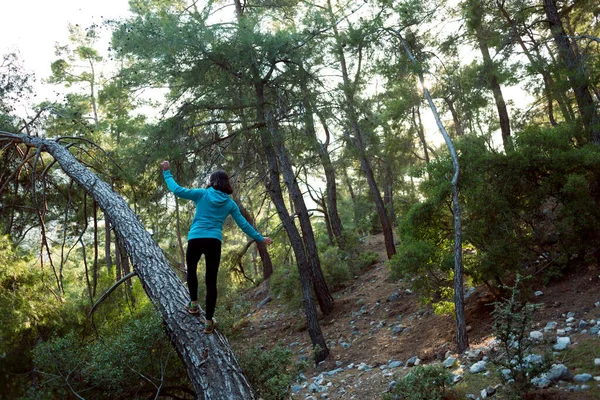 Bir Kadın Ormanda Devrilmiş Bir Ağacın Gövdesinde Yürüyor Kız Dengeyi — Stok fotoğraf