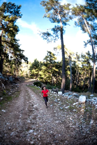 A woman runs along a mountain trail. Runner is training in the forest. Girl jogging in the park. Skyrunning. Fisheye lens. Tilt-Shift effect.