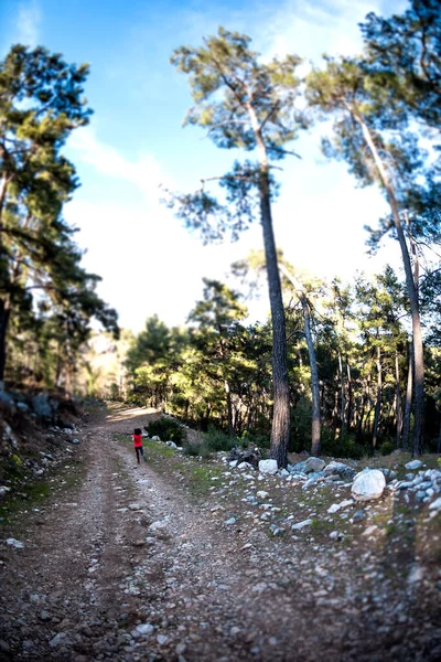 A woman runs along a mountain trail. Runner is training in the forest. Girl jogging in the park. Skyrunning. Fisheye lens.