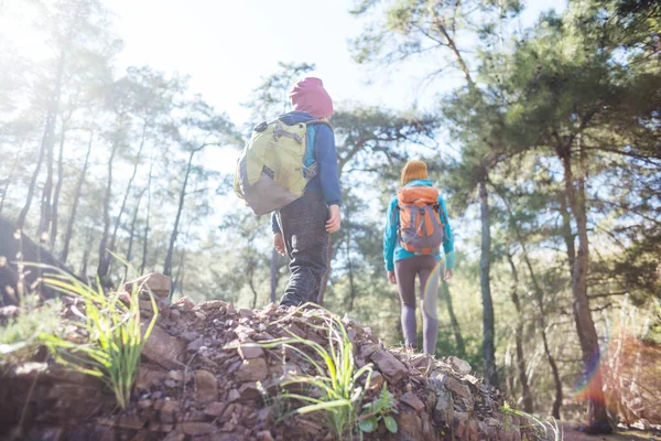 Egy Sétál Fiával Erdőben Fiú Anyjával Kirándulni Megy Egy Hátizsákos — Stock Fotó