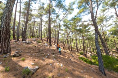 Bir kadın oğluyla ormanda yürür, çocuk annesiyle yürüyüşe çıkar, sırt çantalı bir çocuk parkta çocuklarla seyahat eder, çocuk annesinin elinden tutar, dağ yolunda. Eğim değiştirme efekti