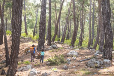 Bir kadın oğluyla ormanda yürür, annesiyle yürüyüşe çıkar, sırt çantalı bir çocuk parka gider, çocuklarla seyahat eder, çocuk annesinin elini tutar, dağ yolu, Anneler Günü..