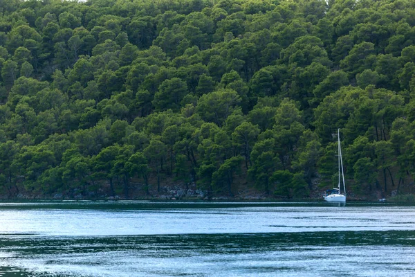 Яхта Плаває Річці Національному Парку Хорватії Річковому Транспорті Екскурсії Моторних — стокове фото