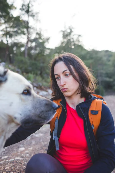 Een Vrouw Die Een Grote Hond Aait Meisje Met Een — Stockfoto