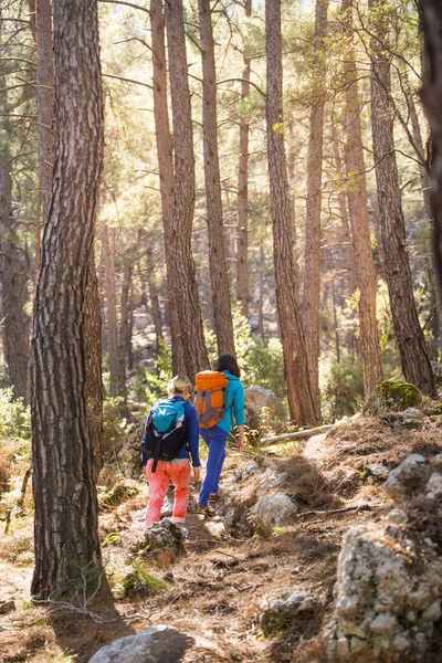 Two girls with backpacks walk in the woods. Hiking in the mountains. Girlfriends spend time together in nature. Women walk in the park.