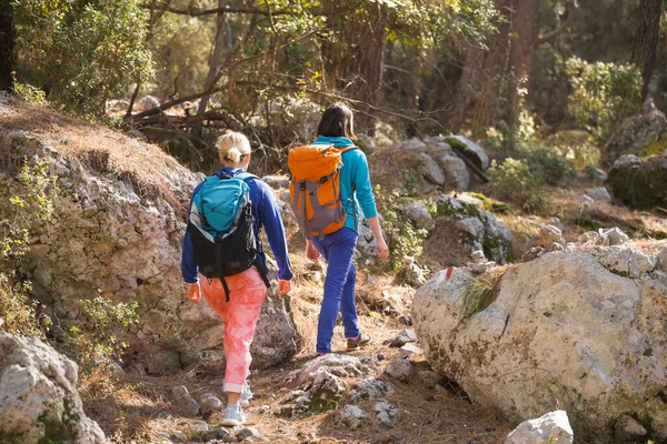 Δύο Κορίτσια Περπατούν Στο Δάσος Πεζοπορία Στα Βουνά Φίλες Περνάνε — Φωτογραφία Αρχείου