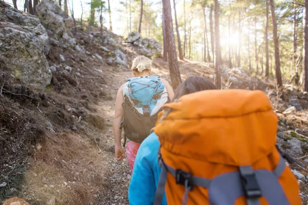 Två Flickor Med Ryggsäckar Går Skogen Vandring Bergen Flickvänner Umgås — Stockfoto